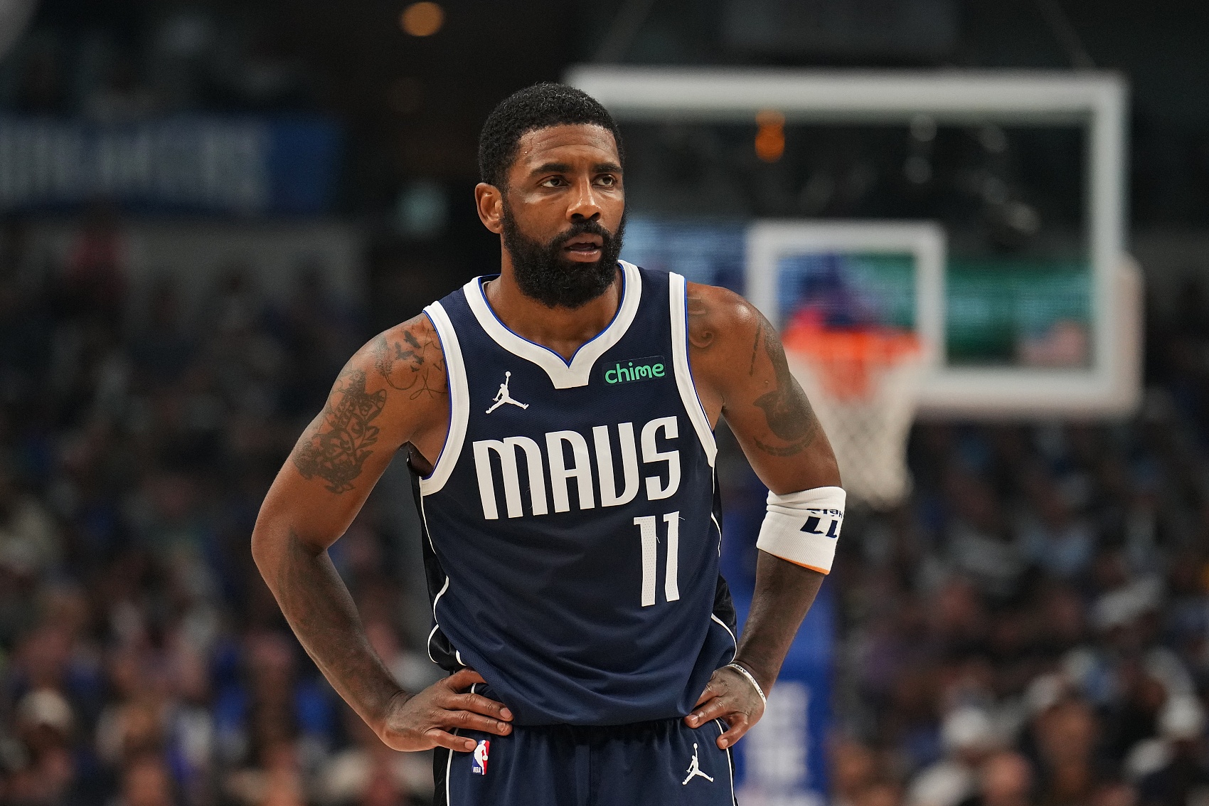 都有巨大的 都有巨大的