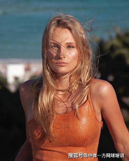 被标准化 被标准化