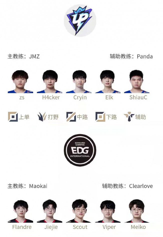 毛球强强对